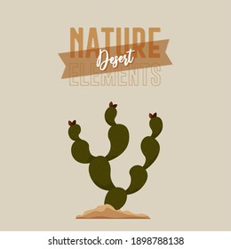 Cactus nature desert in white background - Vector