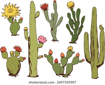 Naturaleza de cactus Plantas occidentales Ilustración vectorial de Colección de vaqueros del oeste salvaje