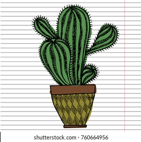 Cactus on copybook background. Home plants pattern. Exotic, tropical. Vector illustration