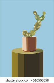 cactus on the curb