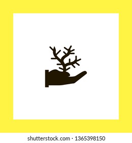 cactus on hand vector icon. flat design