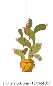 cactus on macrame hangers isolated icon