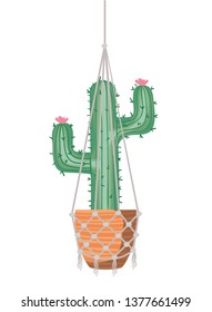 cactus on macrame hangers isolated icon