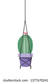 cactus on macrame hangers isolated icon