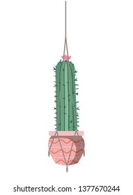 cactus on macrame hangers isolated icon