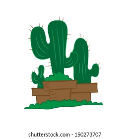 Cactus on The Pot