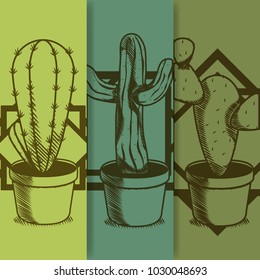Cactus on pot hand drawing