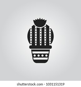 Cactus on pot icon