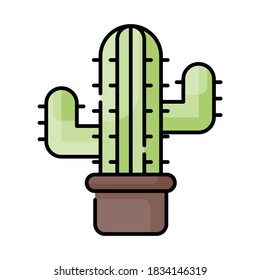 Cactus on pot icon design color outline style