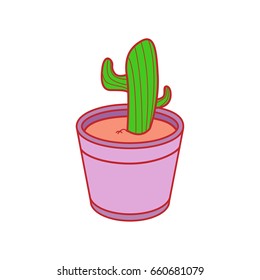 cactus on the pot icon vector 