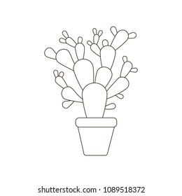 Cactus on the pot illustration