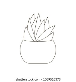 Cactus on the pot illustration