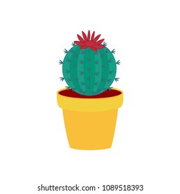 Cactus on the pot illustration