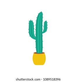 Cactus on the pot illustration