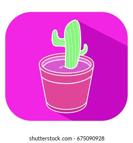 cactus on the pot vector icon 