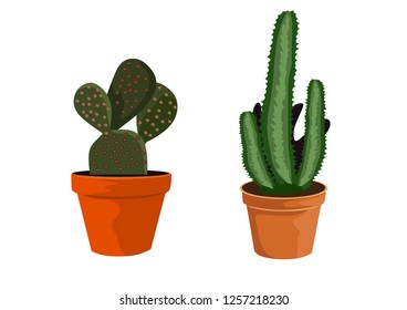 cactus on the pot on vector illustration