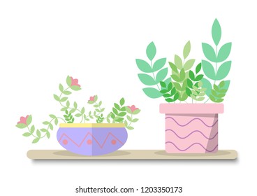 cactus on top table and white background with vector design