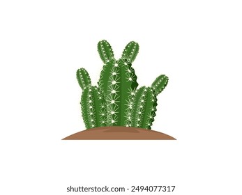 cactus on a white background.