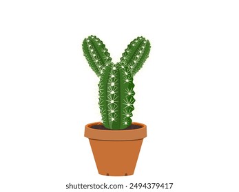 cactus on a white background.