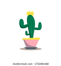 Cactus on white background. Home cactus plant in pot with flower. Vector illustration in trendy flat style.