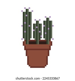 Cactus on the white background. Minimalistic style. Pixel art. Vector art.