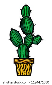 Cactus on a white background. Vector illustration.