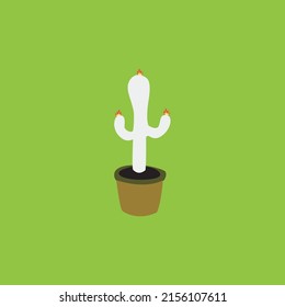 Cactus Is One Of The Ornamental Plants That Is Simple And Easy To Maintain Because It Requires Little Air.