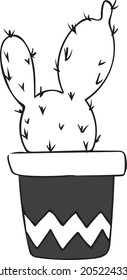 Cactus opuntia in a pot.