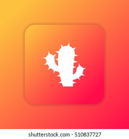 Cactus orange bright app ui/ux Icon / Logo design