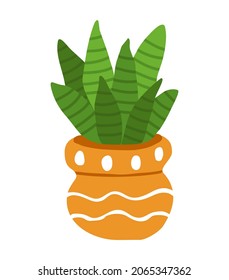 Cactus in a orange decorative ceramic pot. Room plant Sansevieria. Colorful botanical vector isolated illustration on a white background. Doodle style