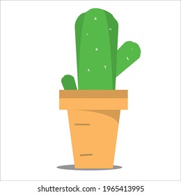 Cactus in orange dry pot
