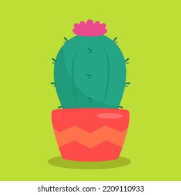 cactus ornamental plant pot isolated illustration