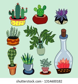  Cactus and the other plants