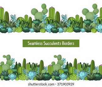 Cactus and other succulents seamless borders vector illustration