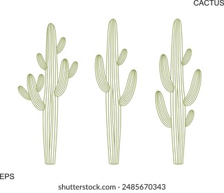 Cactus outline. Isolated cactus on white background