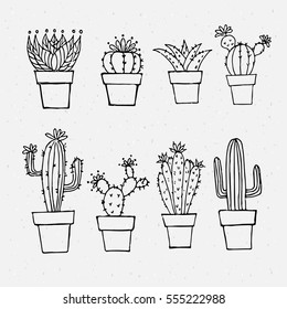 Cactus outlines.