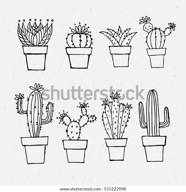 Cactus Outlines Stock Vector (Royalty Free) 555222988