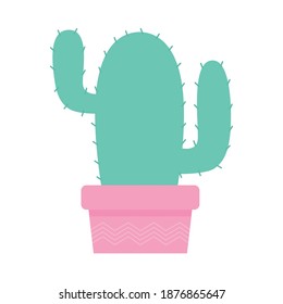 cactus over a pink color pot over a white background vector illustration design