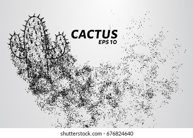 Cactus of the particles. Cactus consists of small circles and dots