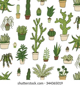 cactus pattern
