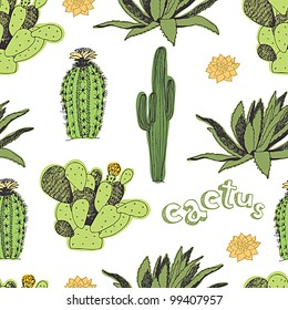 Cactus pattern