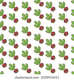 Cactus pattern collection, Mexican cactus and aloe. desert spiny plant, mexico cacti flower and tropical home plants isolated collection,Cactus plant cartoon decorative exotic succulent tropical 