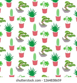 Cactus pattern monstera and bonsai