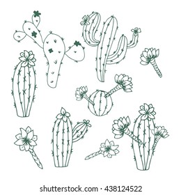 Cactus. peyote. Set. Sketch doodle.