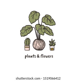 Cactus, philodendron and succulent doodle style hand drawn logo concept for plants and flowers delivery service. Stock vector