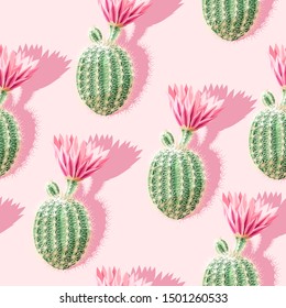 Cactus with pink flowers on the light background