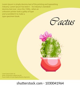 Cactus with pink flowers on a vintage background. Exotic plant in a pot. Background information for brochures, cards and print. Vector illustration

