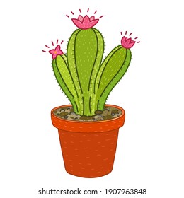 cactus with pink flowers in an orange pot