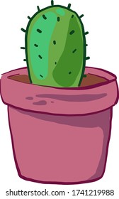Cactus in pink pot , illustration, vector on white background
