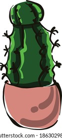 Cactus in a pink pot, illustration, vector on white background.